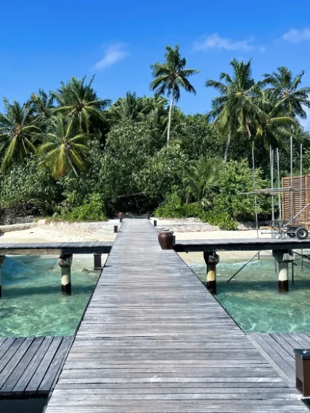 Untitled design (28) (1)